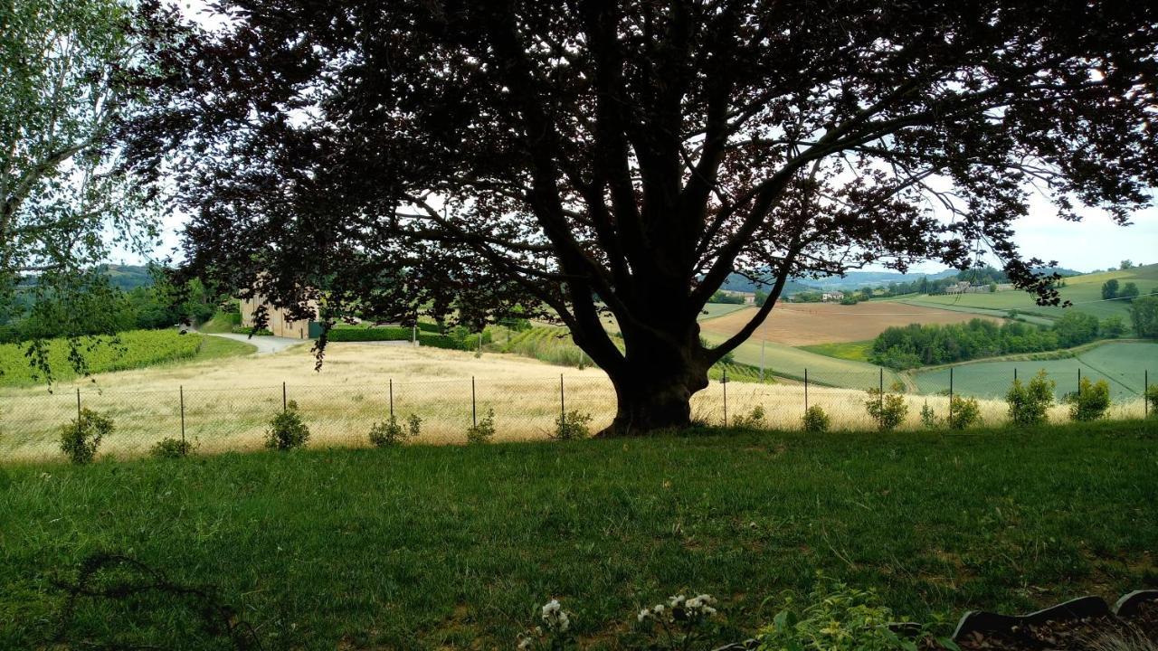 Villa Pieve Moncalvo Eksteriør bilde